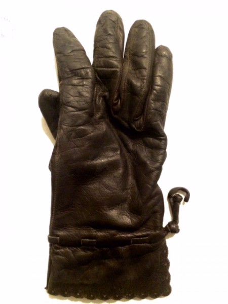 Maya_Glove_2.jpg