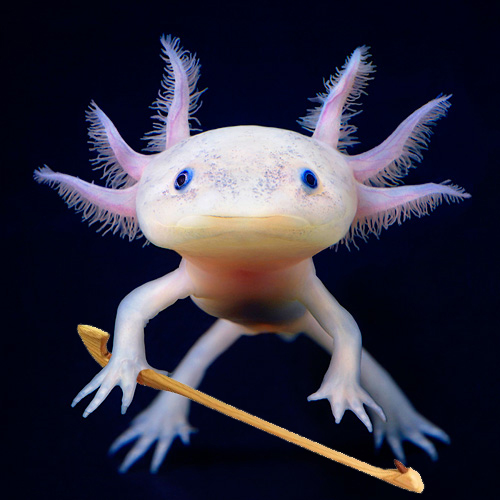 Axolotl Holding an Atlatl.jpg