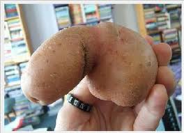 potato.jpg