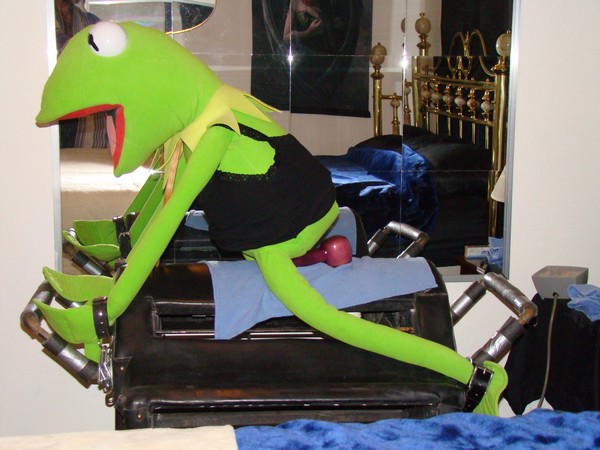 KermitPonyUpside.jpg