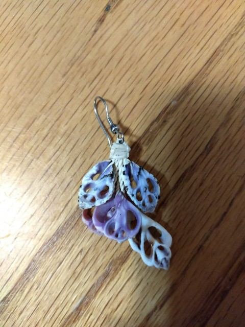 IMG_20180906_214029538.jpg
