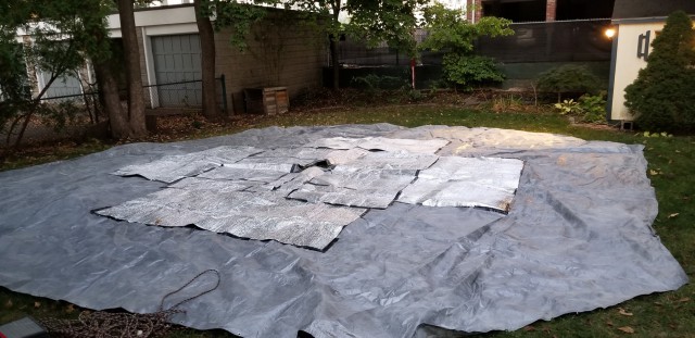 20191004_182537_b.jpg