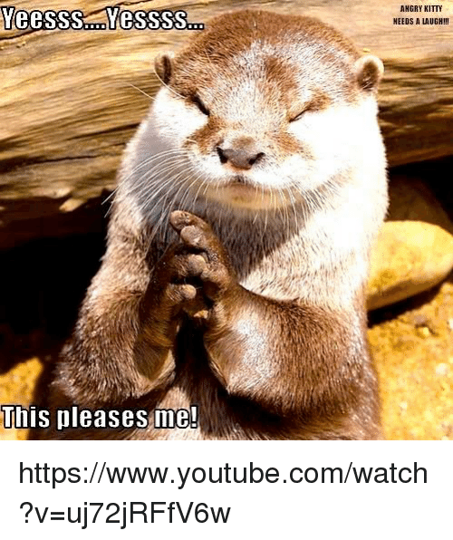 veessss-myessss-this-pleases-me-angry-kitty-needs-a-laugh-21058232.png