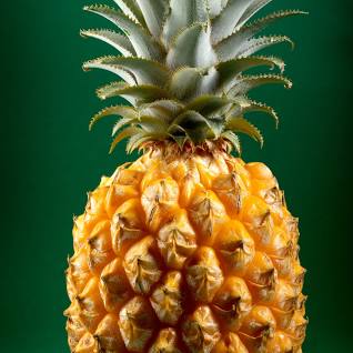 Pineapple.jpg