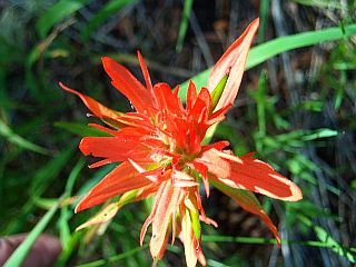 DSCN0047.JPG