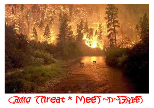 CampThreatMeet-n-Greet.jpg