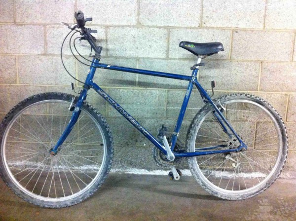 Playa-Bike.jpg