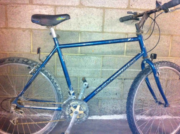 Playa-Bike-2.jpg