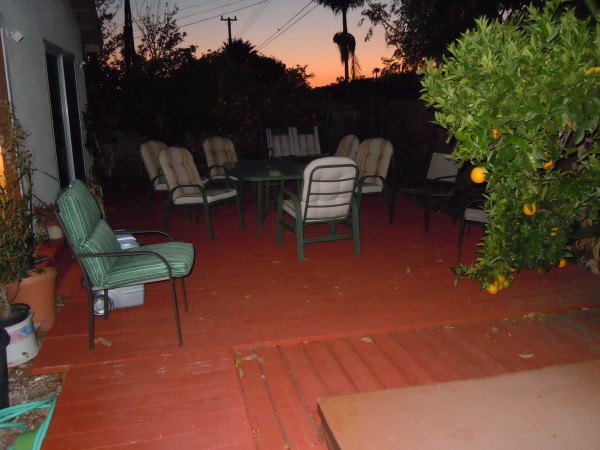 back yard left.jpg