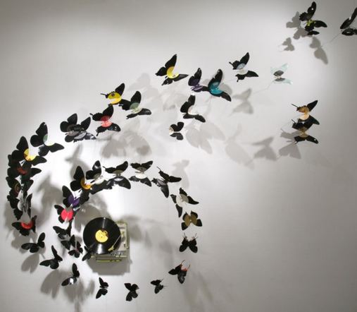MetaMorph BM 2012.JPG