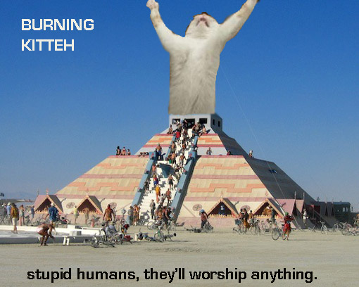burnCatLulz.jpg
