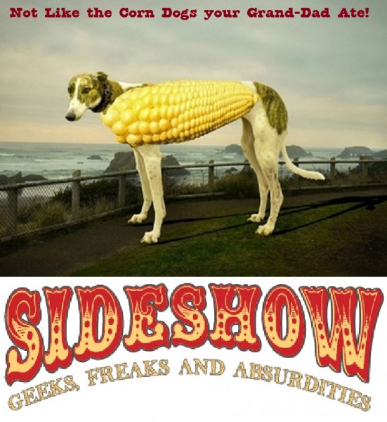GDdog.jpg