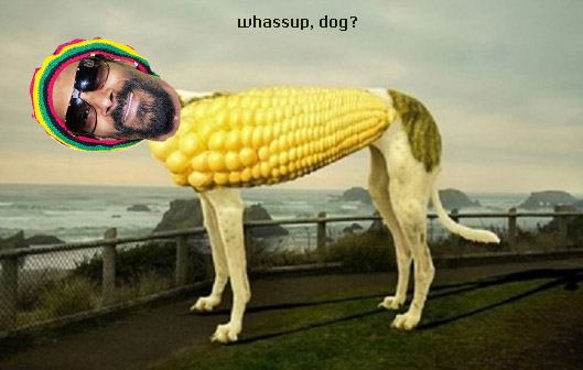 snoop.jpg