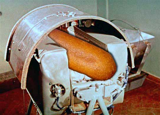 dogInSpace.jpg