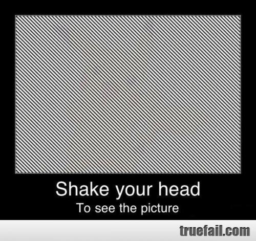 1339599299_Shake_your_head_to_see_the_picture_gag - Copy.jpg