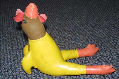 Playa chicken.jpg