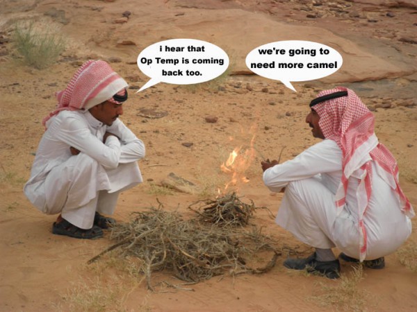 morecamel.jpg