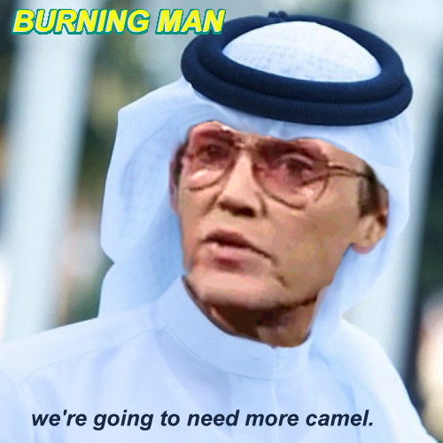 morecamel.jpg