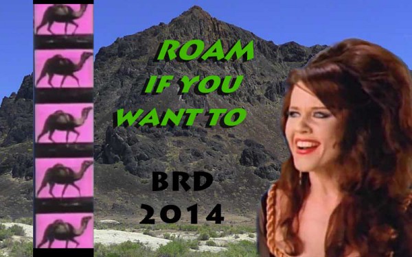 Roam.jpg
