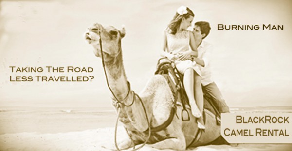 camel.jpg