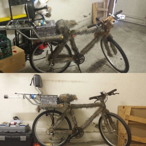 Lost%20Bike%202.jpg
